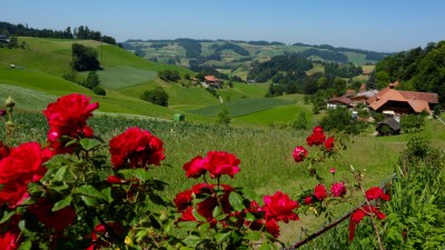 E-Biking in Switzerland: Complete Guide to the Emmental Cheese Route