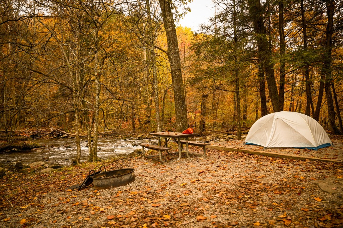 A Complete Guide to Great Smoky Mountains National Park: Hiking, Camping & Things to Do