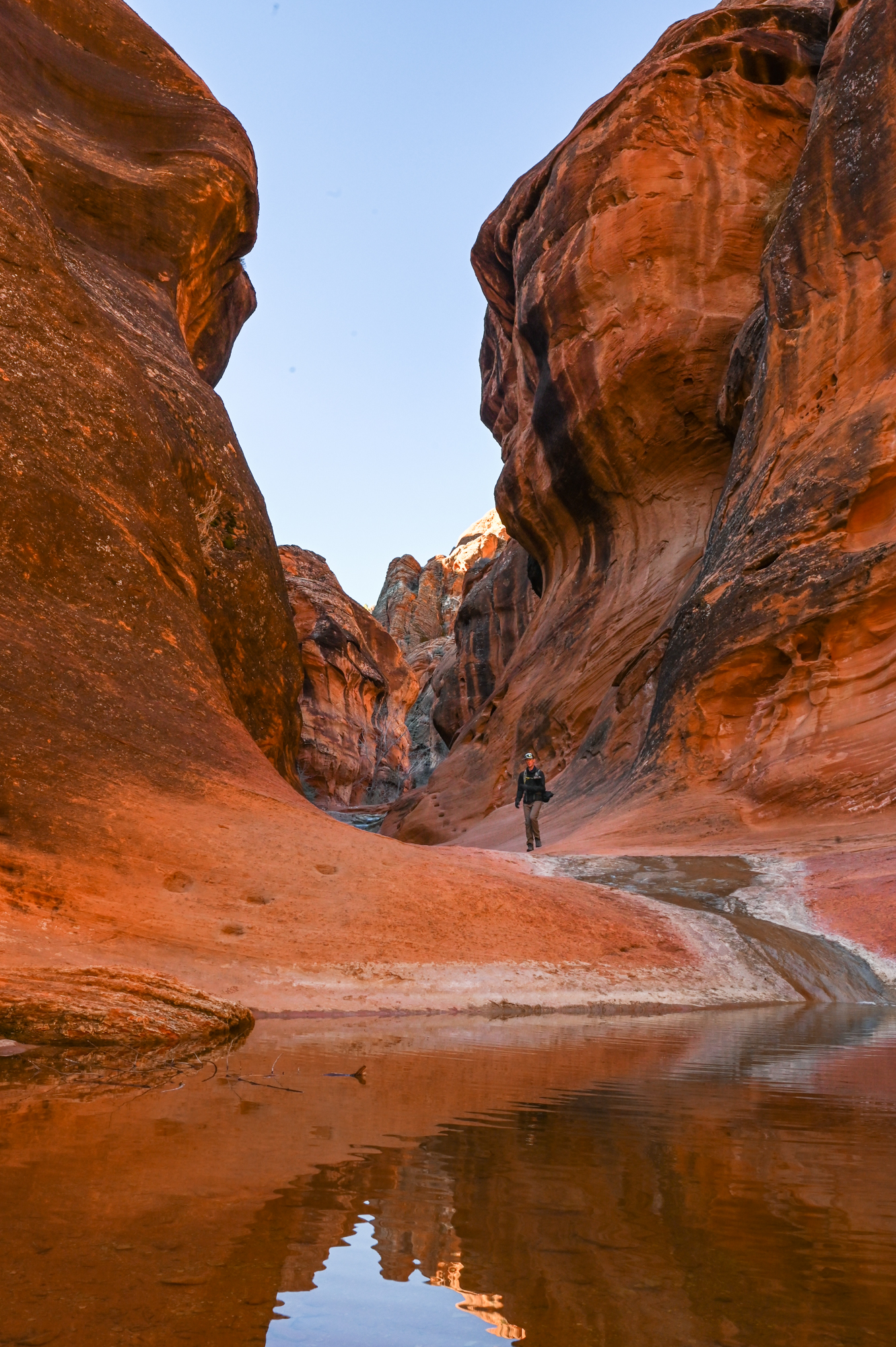 pool of water on the Red Reef Trail in southern Utah