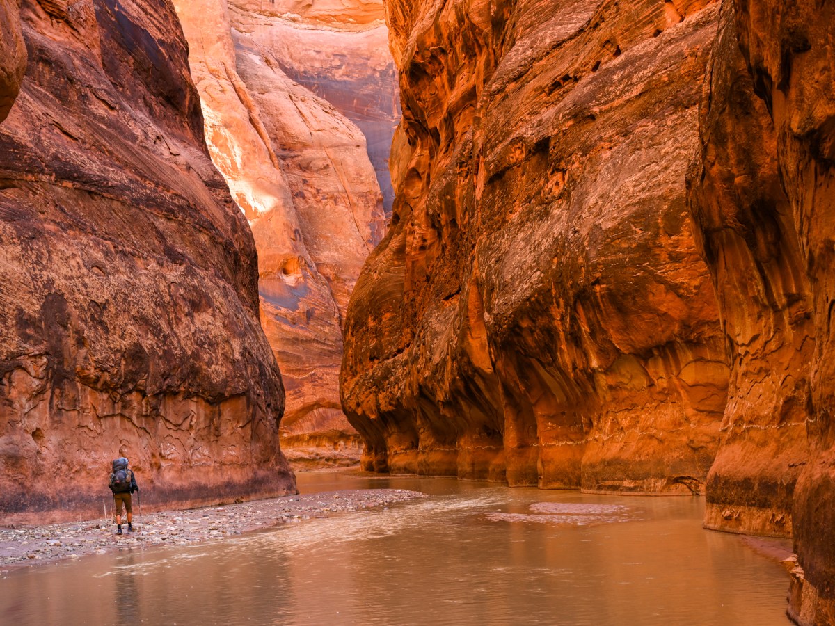 Paria Canyon, one of the best hikes in southern Utah