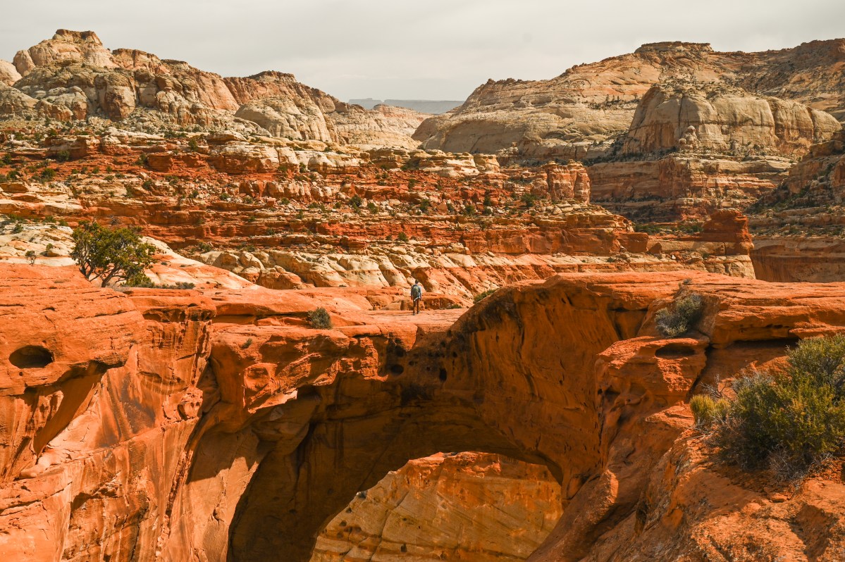 Why You Can’t Miss Cassidy Arch Trail: Capitol Reef National Park