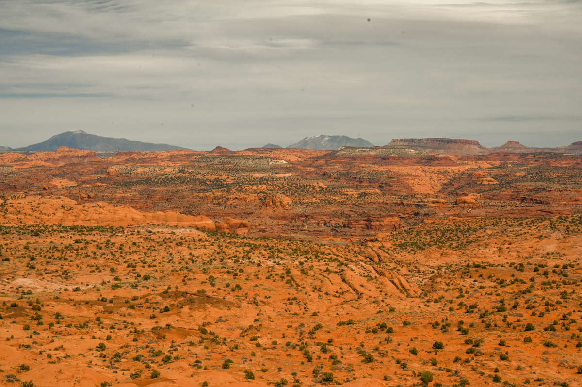 18 Best Things to Do in Escalante, Utah: A Complete Guide