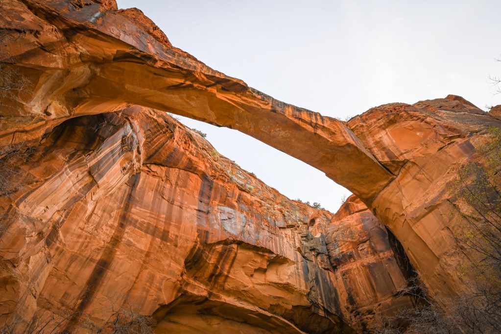 Hiking to Escalante Natural Bridge Escalante River Trail