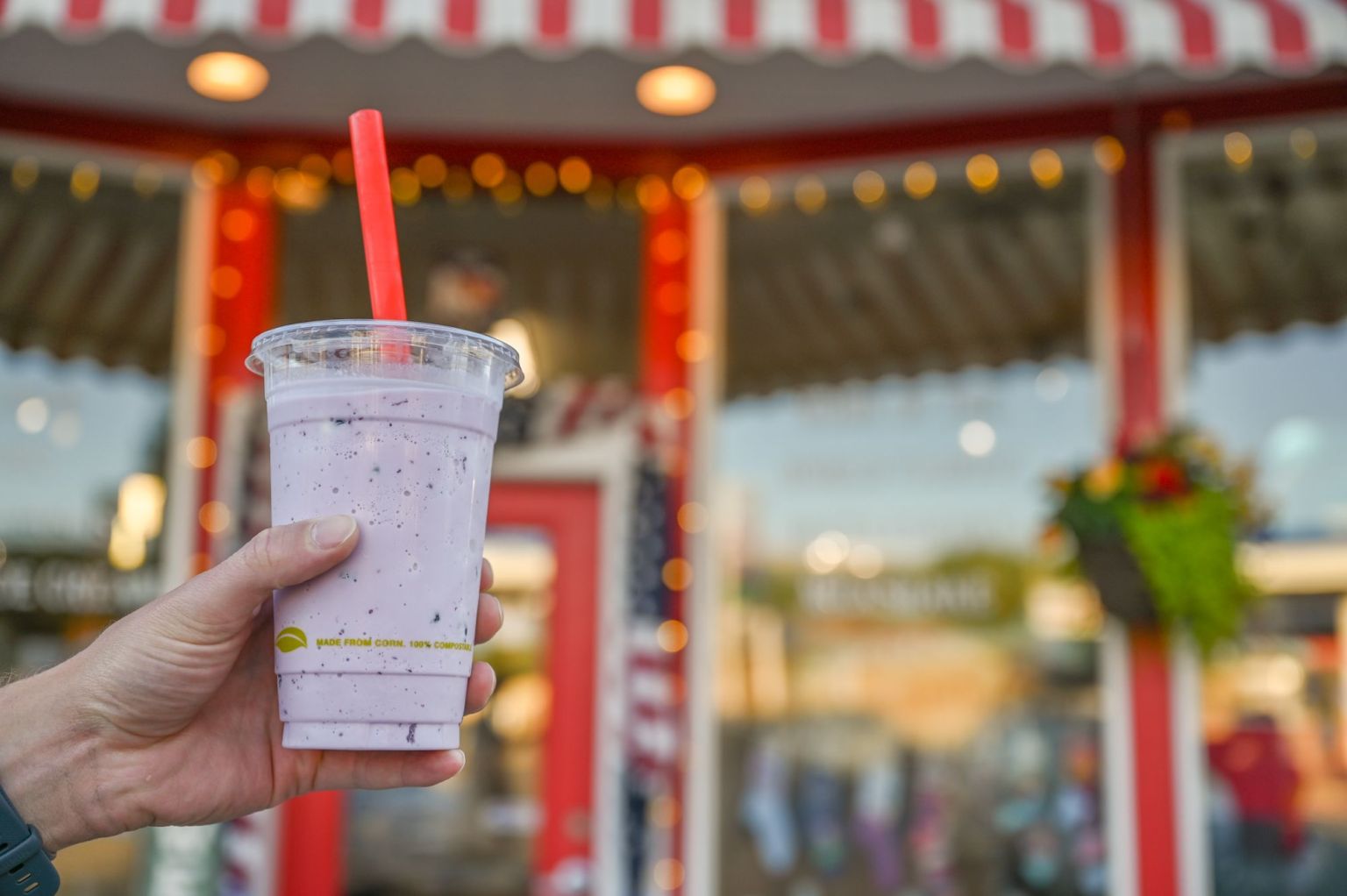 Best Things to Do in Driggs & Victor, Idaho